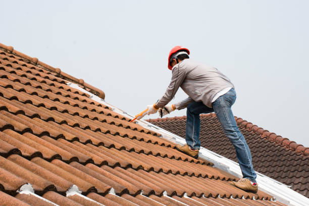 Trusted Holly Lake Ranch, TX Roofing services Experts